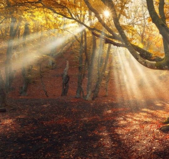 Classy Art Rays of Light Wall Art-1