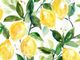 Classy Living Carol Robinson Lemony Branches Mirror Framed Wall Art-1