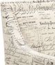 Elements International Erica Beige French Script Chair-4