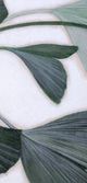 Stylecraft Norman Wyatt Swaying Ginkgo II Wall Art-1
