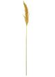 A & B Home Orange Dried Natural Pampas Grass Bundle-1