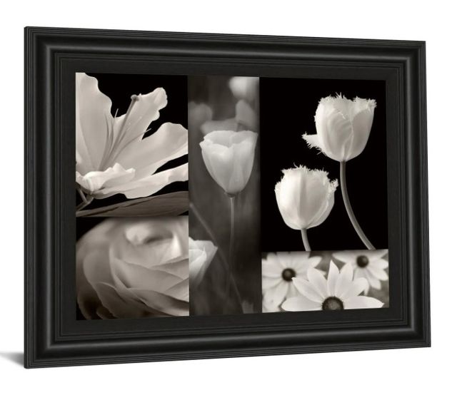 Classy Art Summer Garden Il by Dennis Frates Wall Art-1