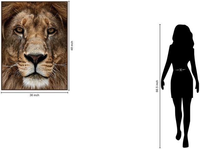 Classy Living Untamed Lion Zoom Wall Art-2