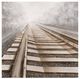 YHD Vanishing into the Distance II Wall Art-0
