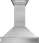 ZLINE Designer Series 30" Satin Stainless Steel Outdoor Wall Mounted Range Hood-0