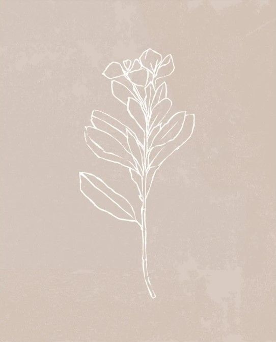 Classy Art Blush Bloom I by Annie Warren Wall Art-1