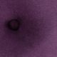 Surya Cotton Velvet Dark Purple 18"x18" Toss Pillow-2