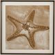 Bassett Mirror Neutral Starfish Framed Print Wall Art-0