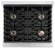 ZLINE Paramount 30" 4.2 Cu. Ft. Satin Stainless Steel Gas Range with 4 Burner DuoPro™ Cooktop and Convection Gas Oven-3
