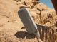 Bose Soundlink Flex 2nd Gen Sandstone Bluetooth® Speaker-5