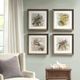 Olliix by Martha Stewart Pretry Bird 4 Piece Set Multi-Colored Double Mat Framed Graphic-4