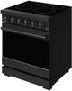 Thor Kitchen 30" Black Pro Style Electric Range with Precision Knob Control & Black Hardware-3
