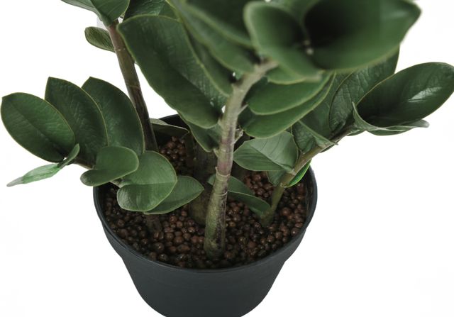 Monarch Specialties Inc. Green/Black 29" Artificial Potted Zz Tree-1