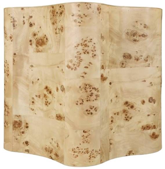 Meridian Furniture Zaire Burl End Table-3