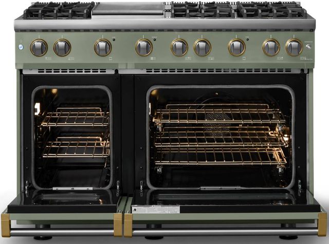 Viking® 5 Series 48" Eucalyptus Pro Style Gas (NG) Range with Brushed Brass Trim-1