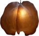 Dovetail Furniture Kelwin Brown Small Pendant Light-1