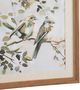 Crestview Songbird Duo 2-Piece Canvas Wall Art Set-1