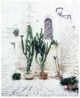 YHD Courtyard Sanctuary Glass Print-0