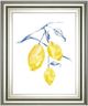 Classy Living Jennifer Goldberger Watercolor Lemons Wall Art-0