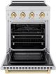 ZLINE Autograph Edition Paramount 24" Stainless Steel Pro Style Induction Range with Polished Gold Accents-1