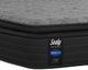 Sealy® Response Performance H2 Beech Street Innerspring Plush Pillow Top Queen Mattress-0
