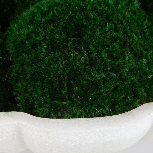 Uttermost® Awaken Moss Green/White Centerpiece-2