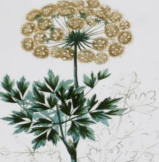 Stylecraft Antique Turpin Botanical VI Green/Gold Wall Art-1