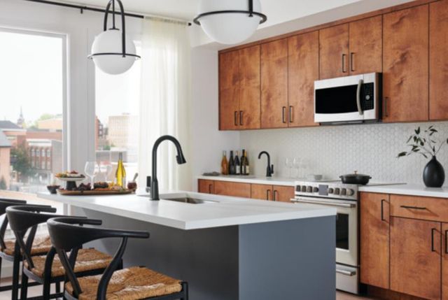 Peerless Ezra® Matte Black Single Handle Pull-Down Kitchen Faucet-3