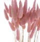 A & B Home Blush Dried Natural Bunny Tail Bundle-2