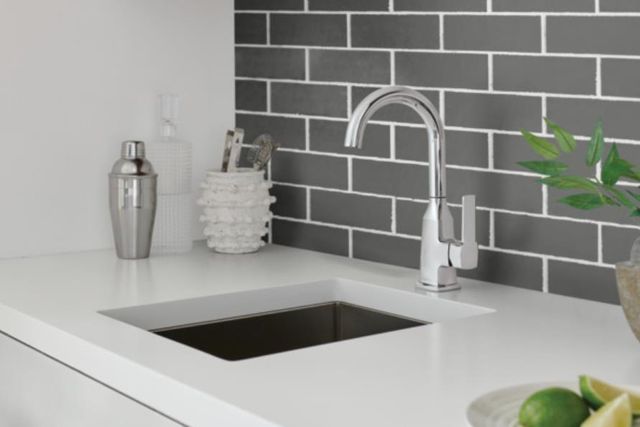 Peerless Ezra® Chrome Single Handle Bar Faucet-1
