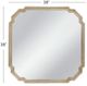 Bassett Mirror Mimosa Ant Silver Wall Mirror-4