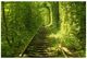 YHD Tunnel Of Love Green Wall Art-0