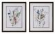Uttermost® Aisa Jenson 2-Piece Delicate Flowers Framed Print Set-0