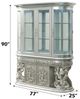 ACME Furniture Sandoval Champagne Curio-2