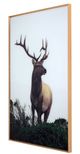 YHD Cervidae Wall Art-1