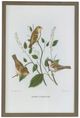 A & B Home 4-Piece Brown/Green Bird Wall Art Set-3