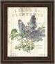 Classy Living Parisian Lilac Bouquet Wall Art-0