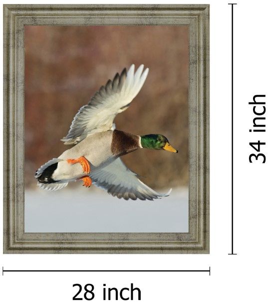 Classy Living Mallard Glde Wall Art-1