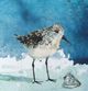 Stylecraft Sandpiper I Blue/White Wall Art-1