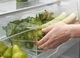 Fisher & Paykel Series 5 32 in. 17.5 Cu. Ft. Stainless Steel Counter Depth Bottom Freezer Refrigerator-3