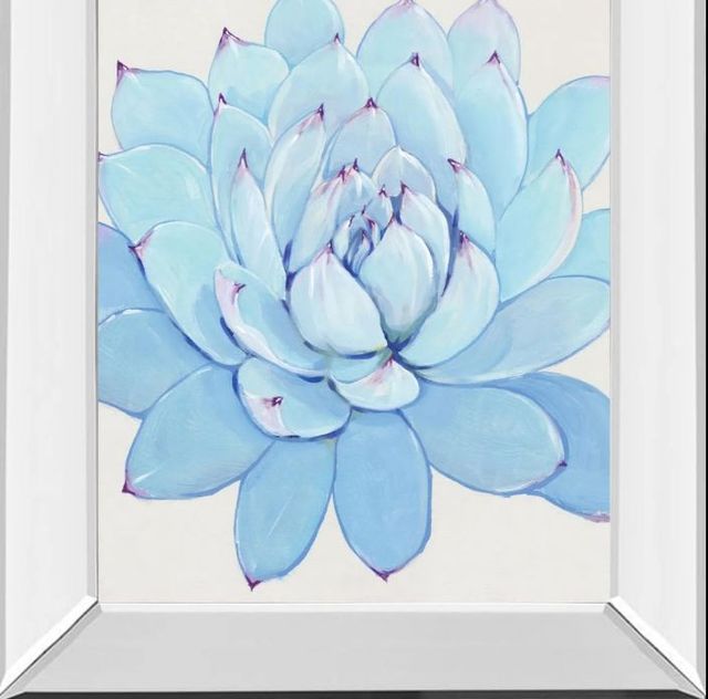 Classy Art Pastel Succulent II by Tim OToole Mirror Framed Wall Art-1
