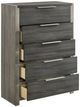ACME Furniture Jehoram Gray Chest-0