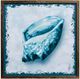StyleCraft Perth Shells III Blue/White Wall Art-0