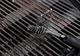 Weber® Cast-Iron Grill Brush-2