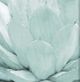 Stylecraft Agave I Light Green Wall Art-1