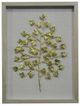 Crestview Collection Sienna 2 Gold/Gray Wall Art-0