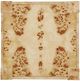TOV Furniture Brandyss Natural Burl End Table-4
