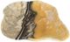 A & B Home Eduardo Multi-Colored Hand-Carved Zebra Onyx Bowl-0