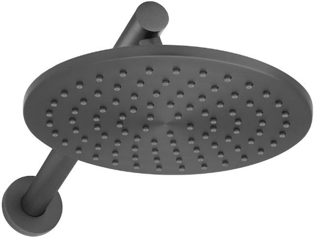 ZLINE Autograph Edition El Dorado Gun Metal Rainfall Shower Faucet-1