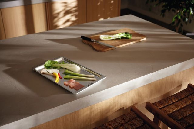 Miele Stainless Steel Teppanyaki-3